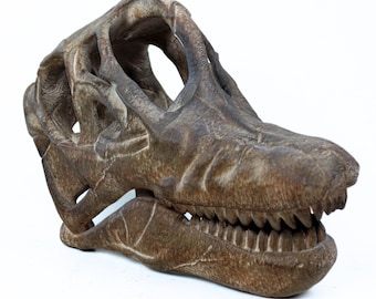 ブラキオサウルスの塗装済み頭蓋骨レプリカ、先史時代の恐竜の化石
