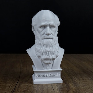 Charles Darwin Bust Sculpture