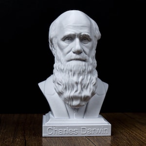 Charles Darwin Bust Sculpture