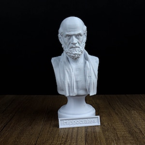 Hippocrates Bust Sculpture, Greek Physician Statue