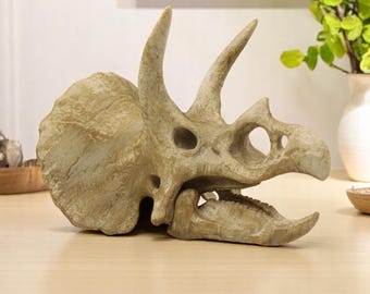 恐竜　化石　トリケラトプス 赤ちゃん　頭部 頭骨 レプリカ　一品のみ il_340x270.6923192113_91bq.jpg