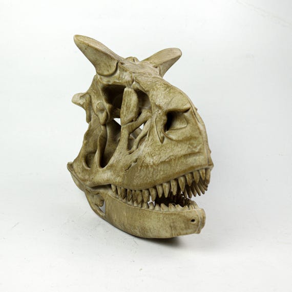 古びたカルノタウルスの頭蓋骨レプリカ：恐竜の化石装飾 - Etsy 日本