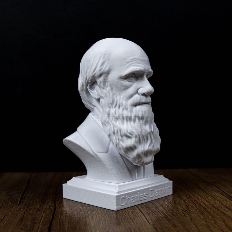Coleção Pacote de Bustos de Filósofos: Friedrich Nietzsche, Sigmund Freud, Schopenhauer, Karl Marx, Immanuel Kant, Karl Jung, Darwin imagem 9