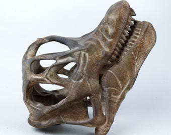 ブラキオサウルスの塗装済み頭蓋骨レプリカ、先史時代の恐竜の化石