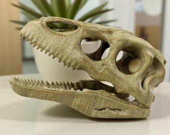 テリジノサウルスの頭蓋骨、恐竜の化石レプリカ、手描き、古びた仕上げ