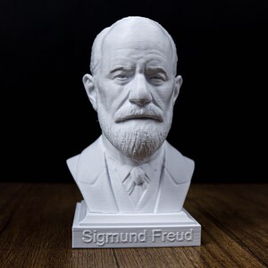 Coleção Pacote de Bustos de Filósofos: Friedrich Nietzsche, Sigmund Freud, Schopenhauer, Karl Marx, Immanuel Kant, Karl Jung, Darwin imagem 18
