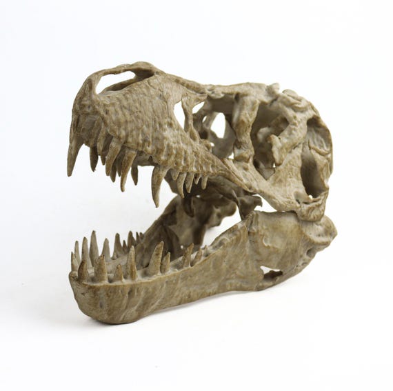 Aged T-Rex Skull Replica: Prehistoric Fossil Decor