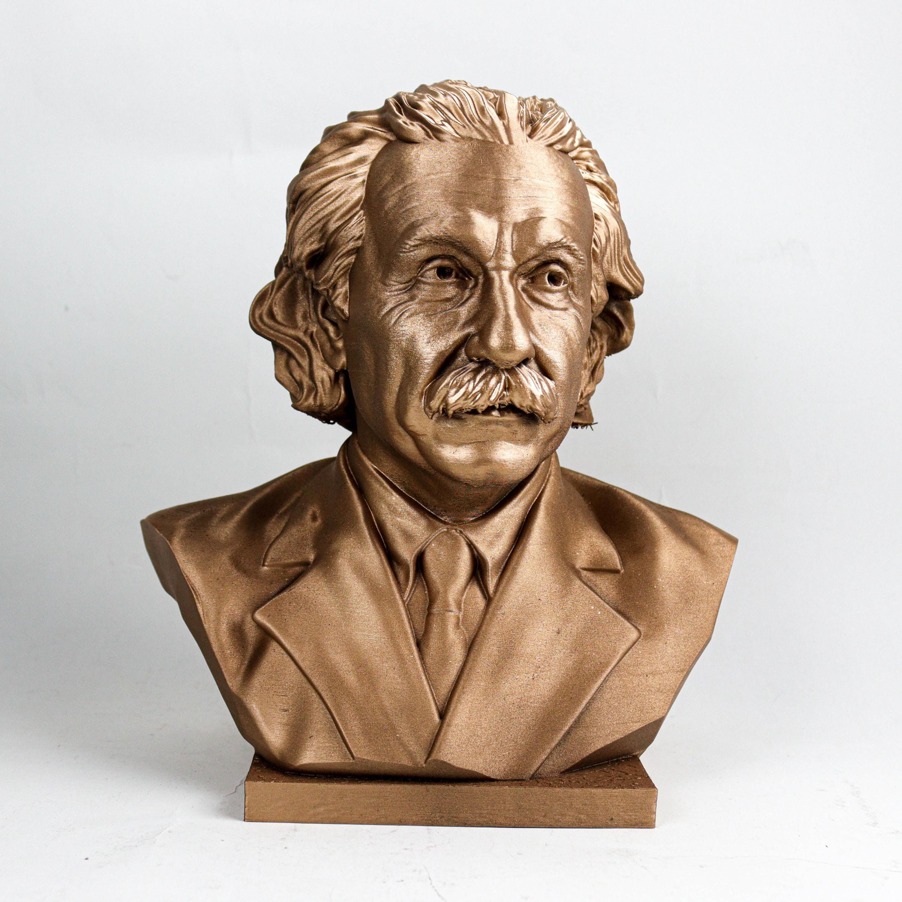 Einstein アインシュタイン GREENLINE ペア 約1.5m Albert Einstein 10