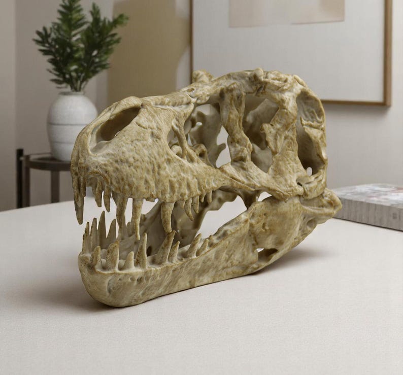 May include: A detailed replica of a dinosaur skull, featuring a toothy jaw and intricate bone structure. The skull is made of a light beige material and is displayed on a white surface.