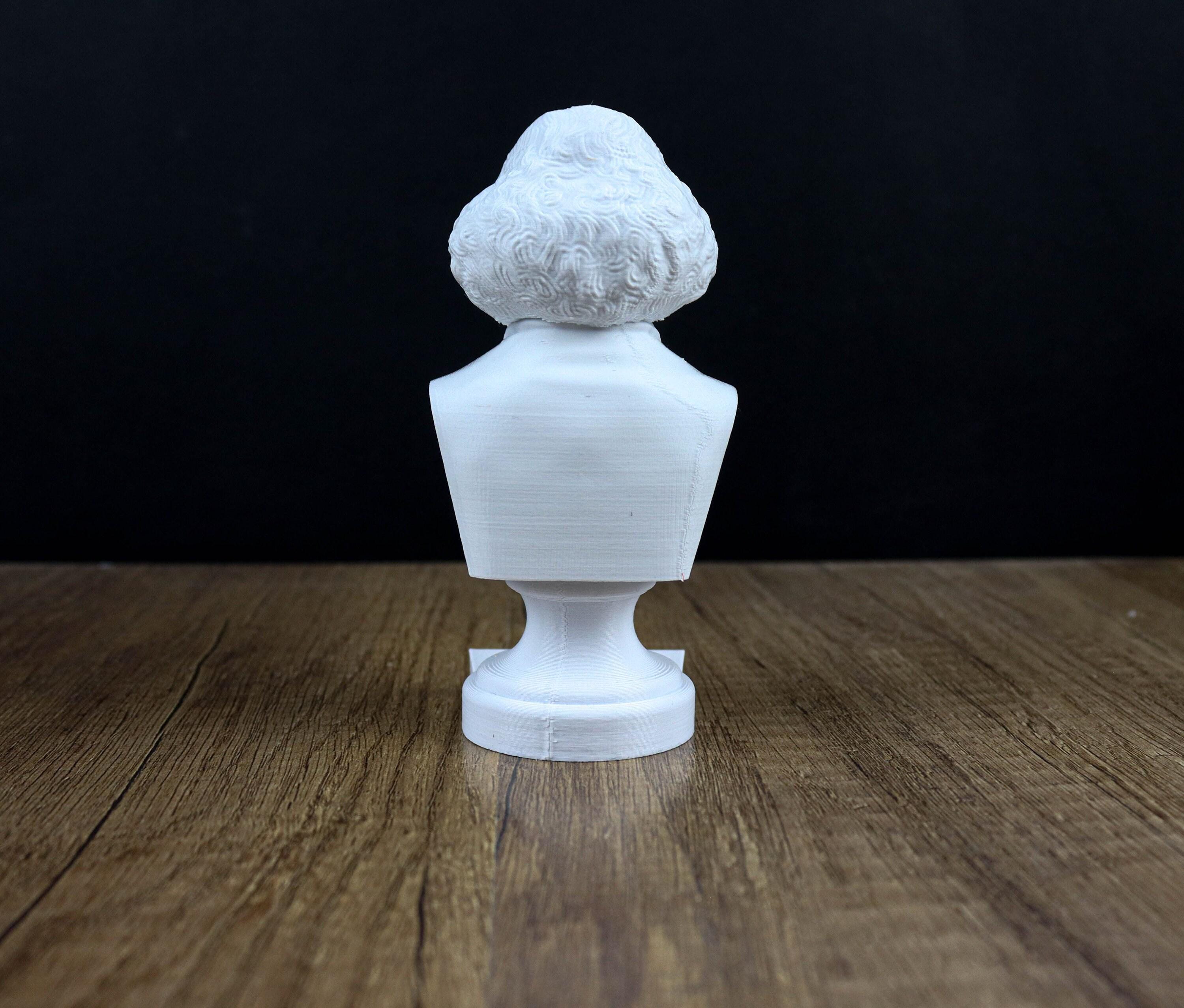 Polymath Statues Nicolaus Copernicus Bust, Renaissance Polymath Statue, Sculpture ...