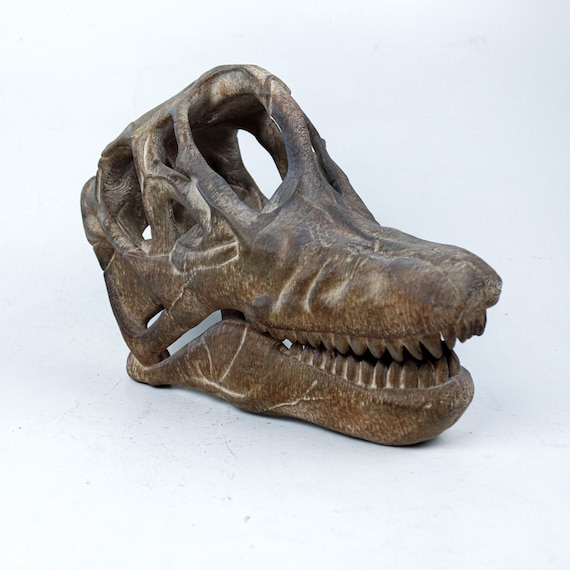 ブラキオサウルスの塗装済み頭蓋骨レプリカ、先史時代の恐竜の化石