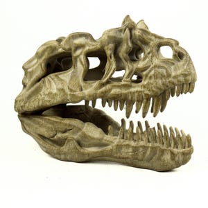 Aged Ceratosaurus Skull Replica: Prehistoric Dinosaur Fossil Model