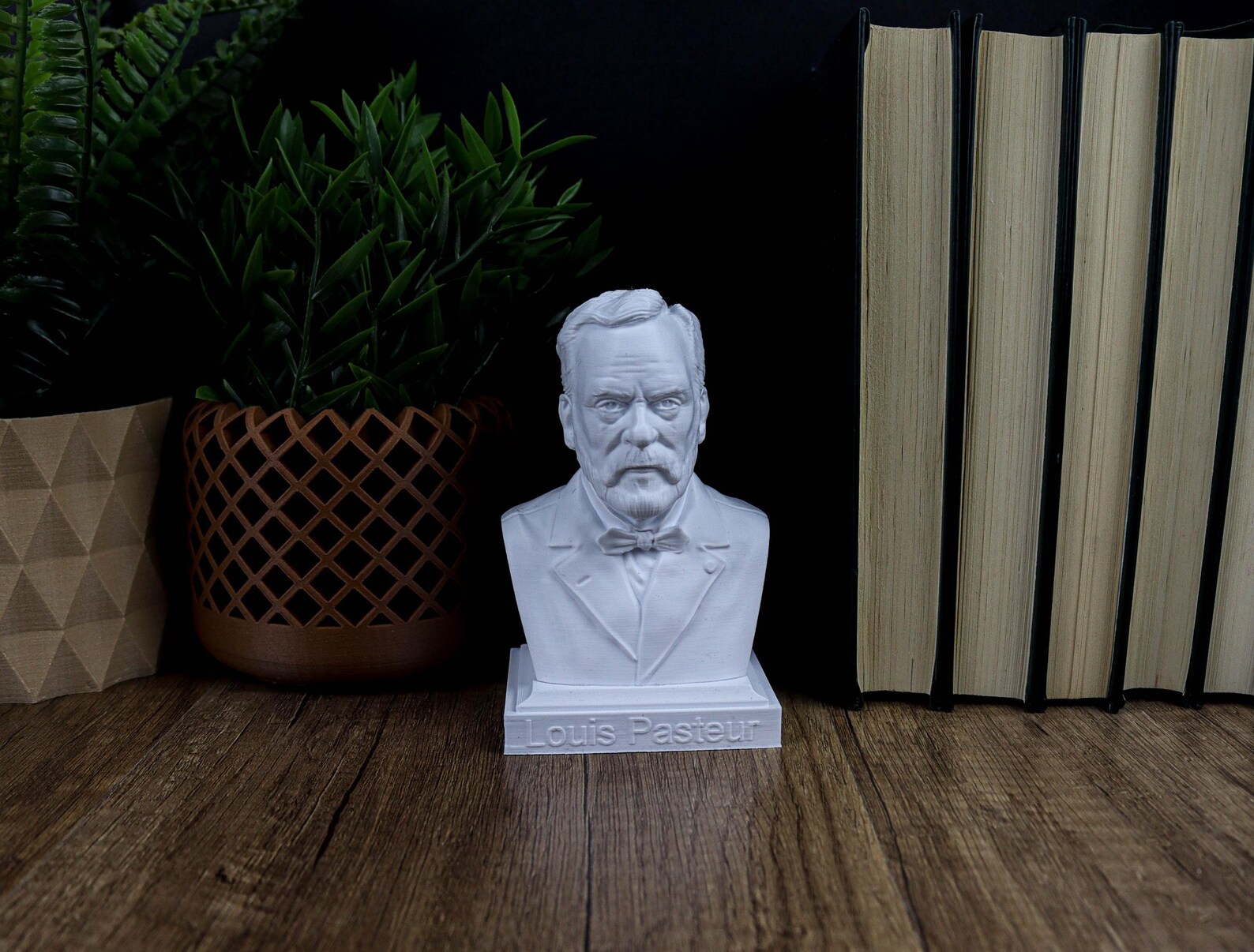 Louis Pasteur Bust, Scientist Statue for Bookshelf Decor, Microbiology ...