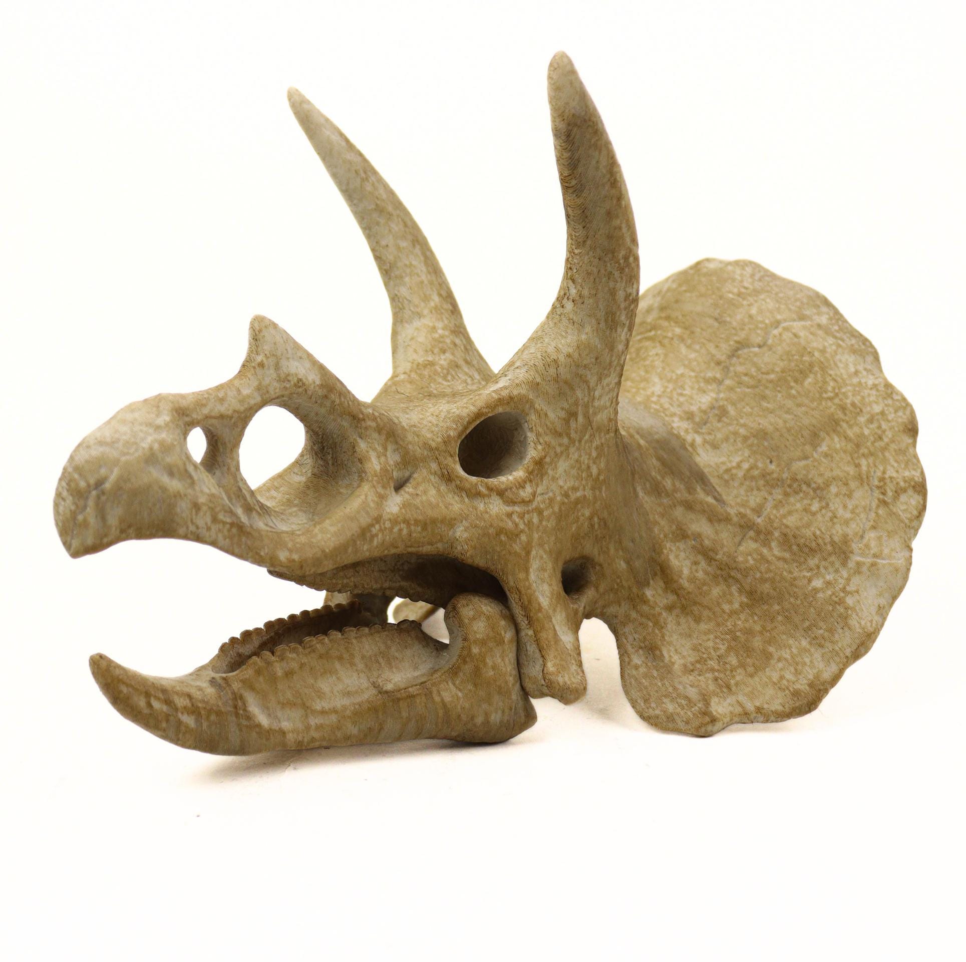 手描きのトリケラトプスの頭蓋骨のレプリカ：先史時代の化石の装飾