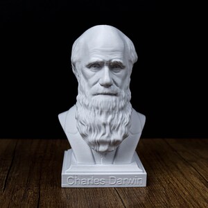 Coleção Pacote de Bustos de Filósofos: Friedrich Nietzsche, Sigmund Freud, Schopenhauer, Karl Marx, Immanuel Kant, Karl Jung, Darwin imagem 3