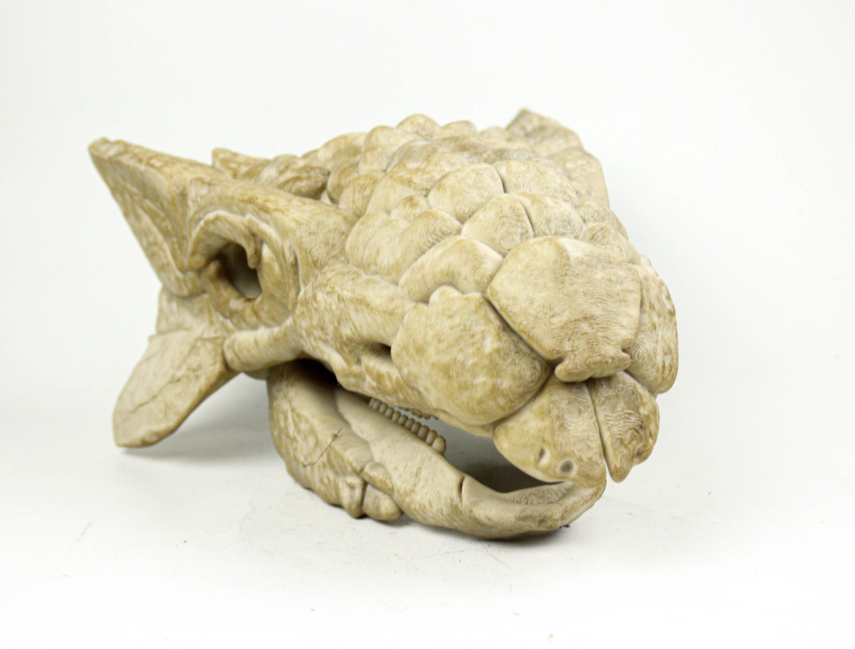 アンキロサウルスの頭蓋骨、恐竜化石レプリカ、先史時代の装飾品、恐竜