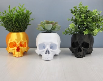 Skull planter, Human Skull Pots, Gothic Home Decor, Halloween Decoration, Witch House Decor