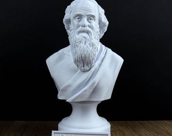 Pythagoras Bust, Ancient Mathematician Statue, Greek Mythology Inspired Sculpture