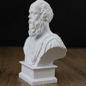 Socrates Bust Sculpture, Greek Statue image 8