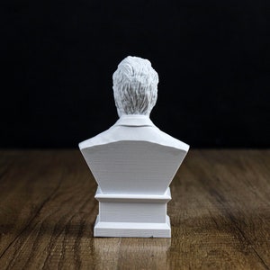 Friedrich Nietzsche and Arthur Schopenhauer Busts, German Philosophers Statue image 7
