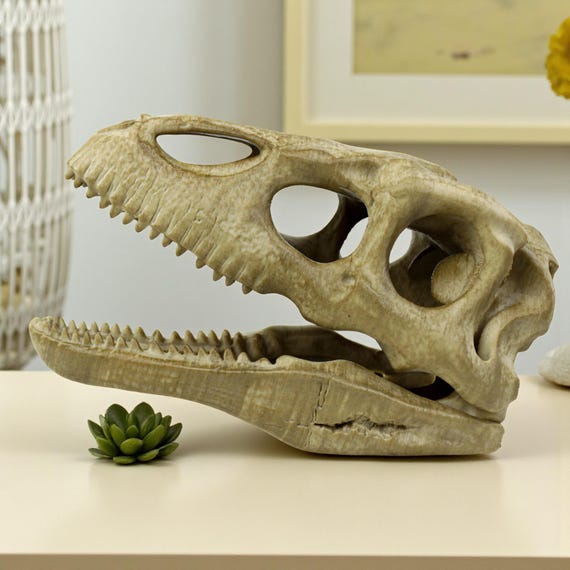 テリジノサウルスの頭蓋骨、恐竜の化石レプリカ、手描き、古びた仕上げ