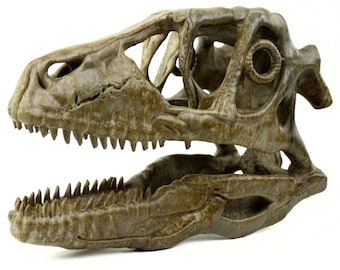 Deinonychus skull, Museum style raptor fossil sculpture for home or office decor