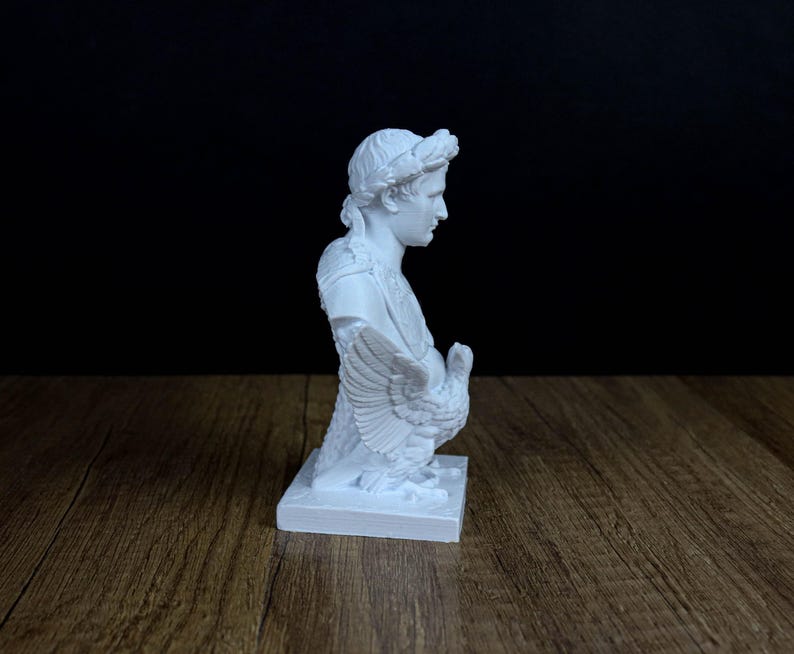 Busto de Napoleón Bonaparte, escultura y estatua del emperador francés imagen 7
