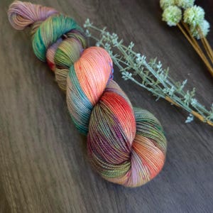 May include: A colourful skein of hand-dyed yarn, featuring shades of pink, green, orange, and purple. The yarn is presented in a relaxed, flowing form. Sprigs of greenery are in the background.