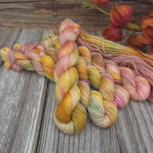 Hand Dyed Mini Skein Yarn: Apple Cart DK/Sock Yarn - 20g