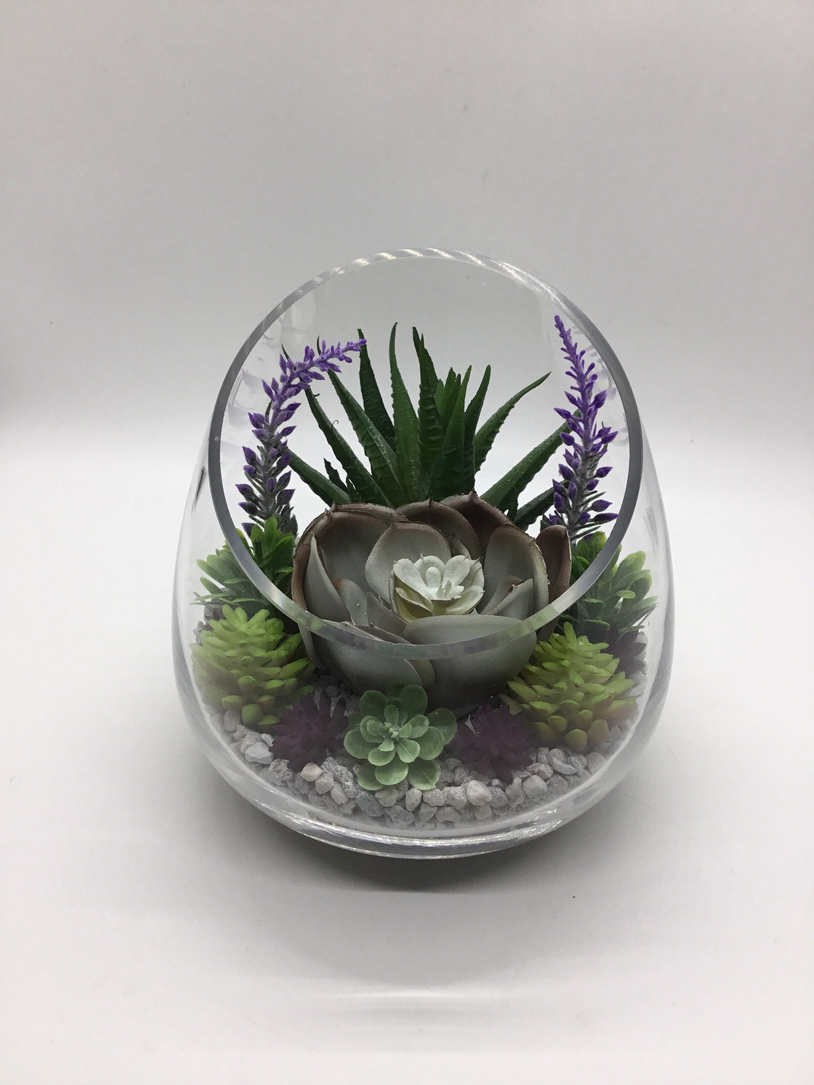 Artificial Succulent Terrarium Kit Small 5 Slant Cut Etsy