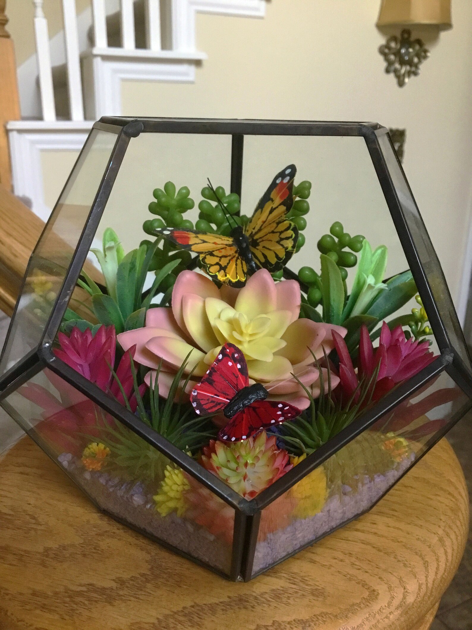 Artificial Succulent Butterfly Terrarium Kit 6.5 Metal Trim Etsy