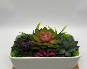 Kit voor kunstmatige succulentenarrangementen - 6" plantenbak met houten basis - succulente tuin - kit