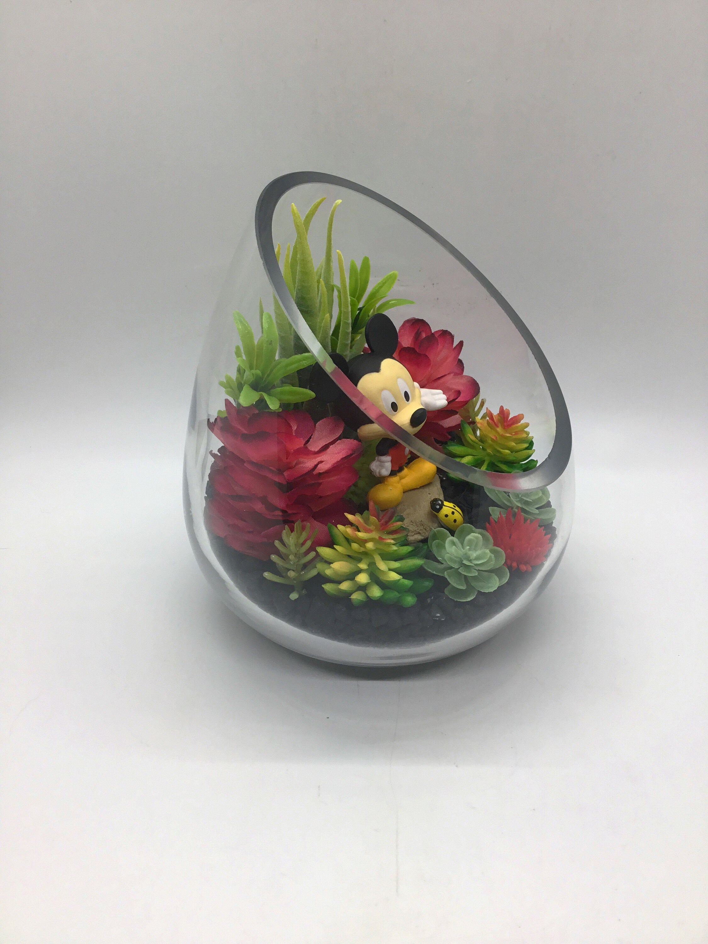 Mickey Mouse Terrarium Kit Small 5 Slant Cut Teardrop Glass Etsy