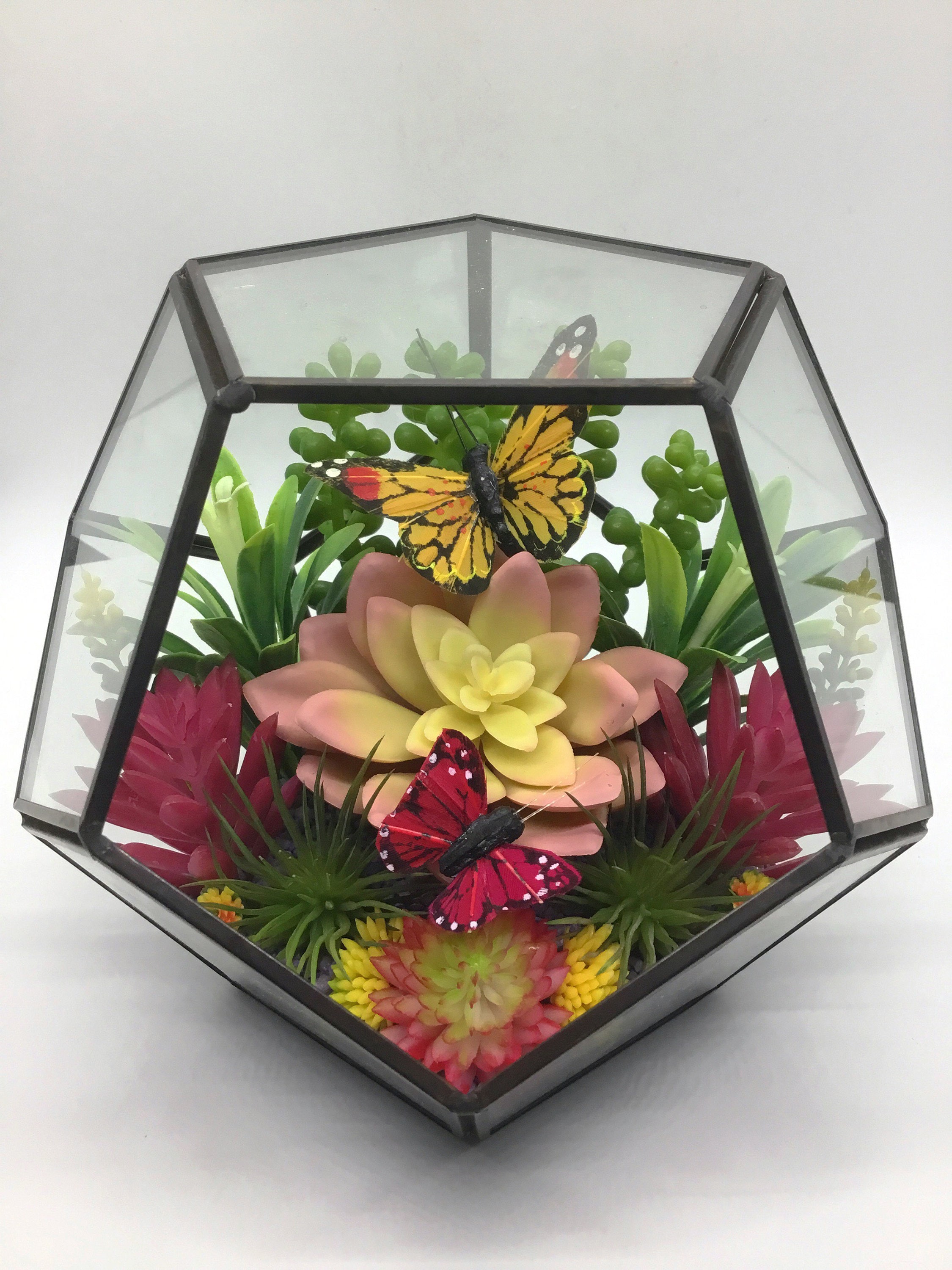 Artificial Succulent Butterfly Terrarium Kit 6.5 Metal Trim Etsy