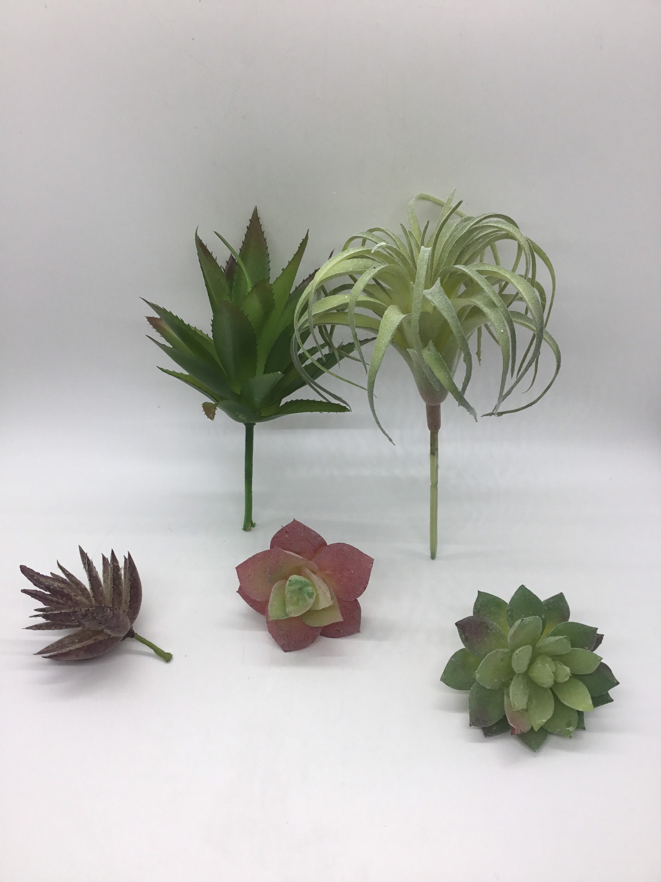 5 Piece Artificial Succulent Plant/pick Set Garden Crafts Etsy UK