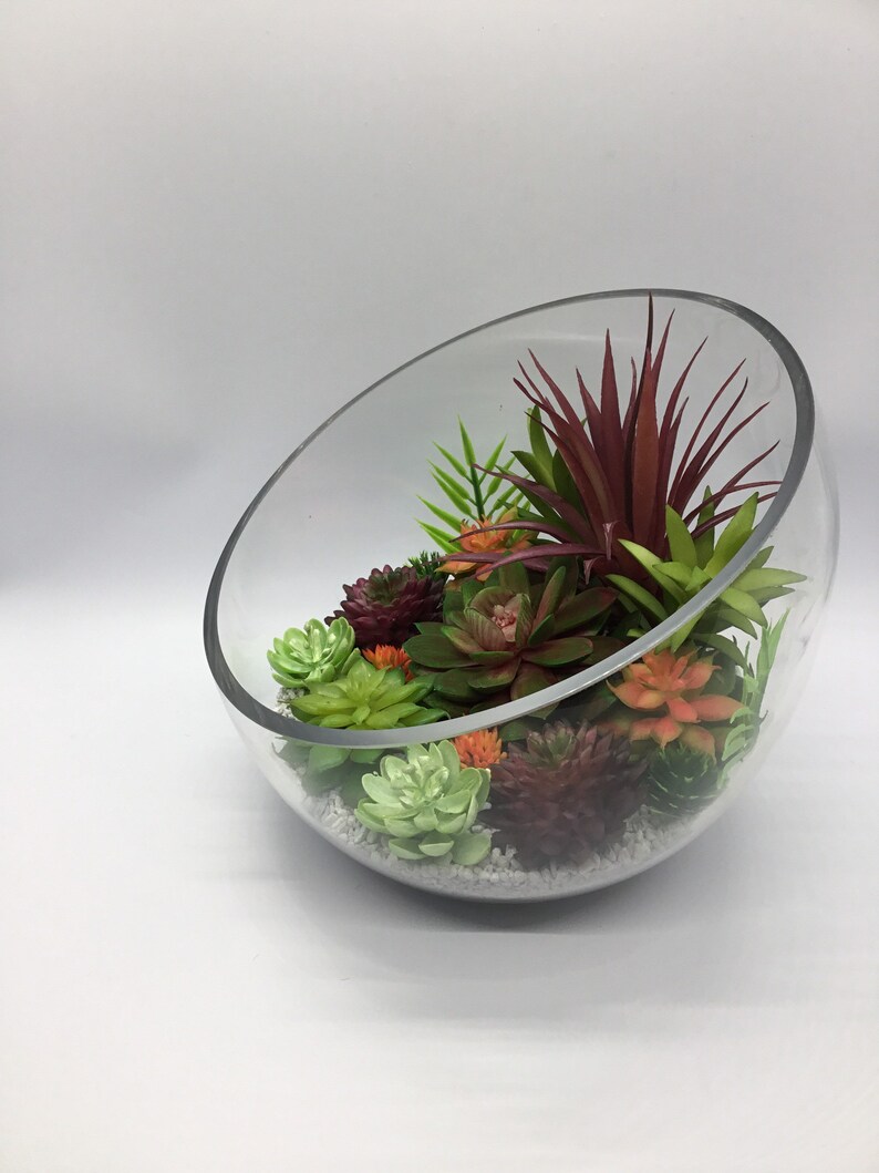 Winners Artificial Succulent Terrarium