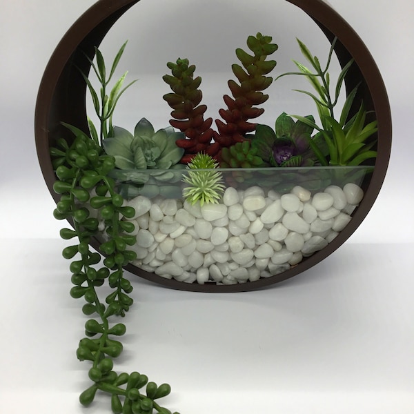 Wall Terrarium Etsy