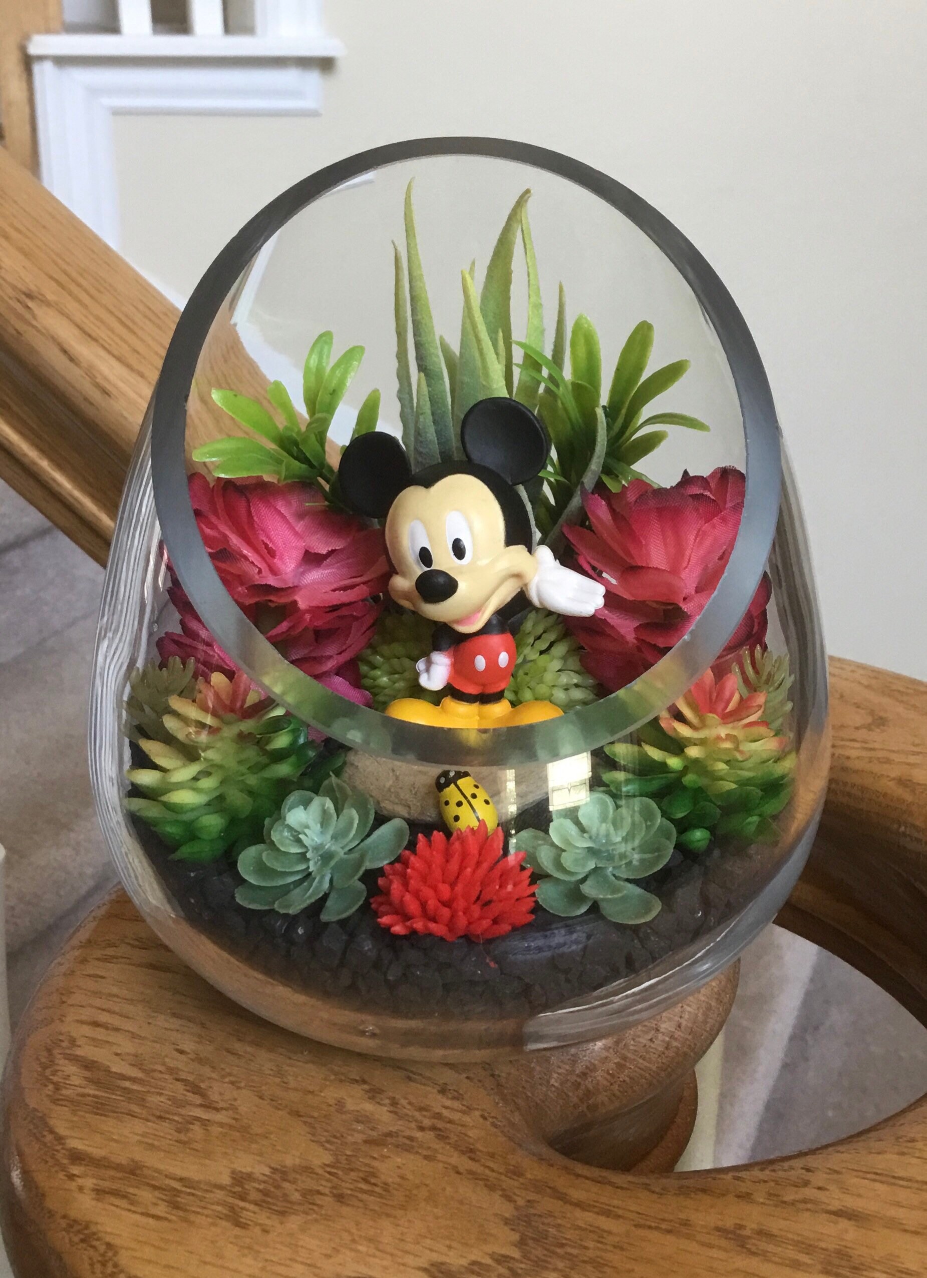 Mickey Mouse Terrarium Kit Small 5 Slant Cut Teardrop Glass Etsy