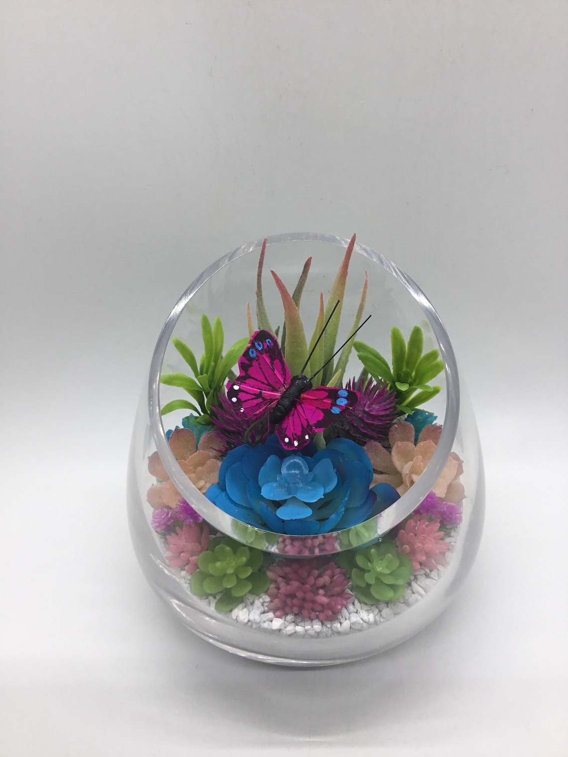 Butterfly Terrarium Kit Artificial Succulent Terrarium Etsy