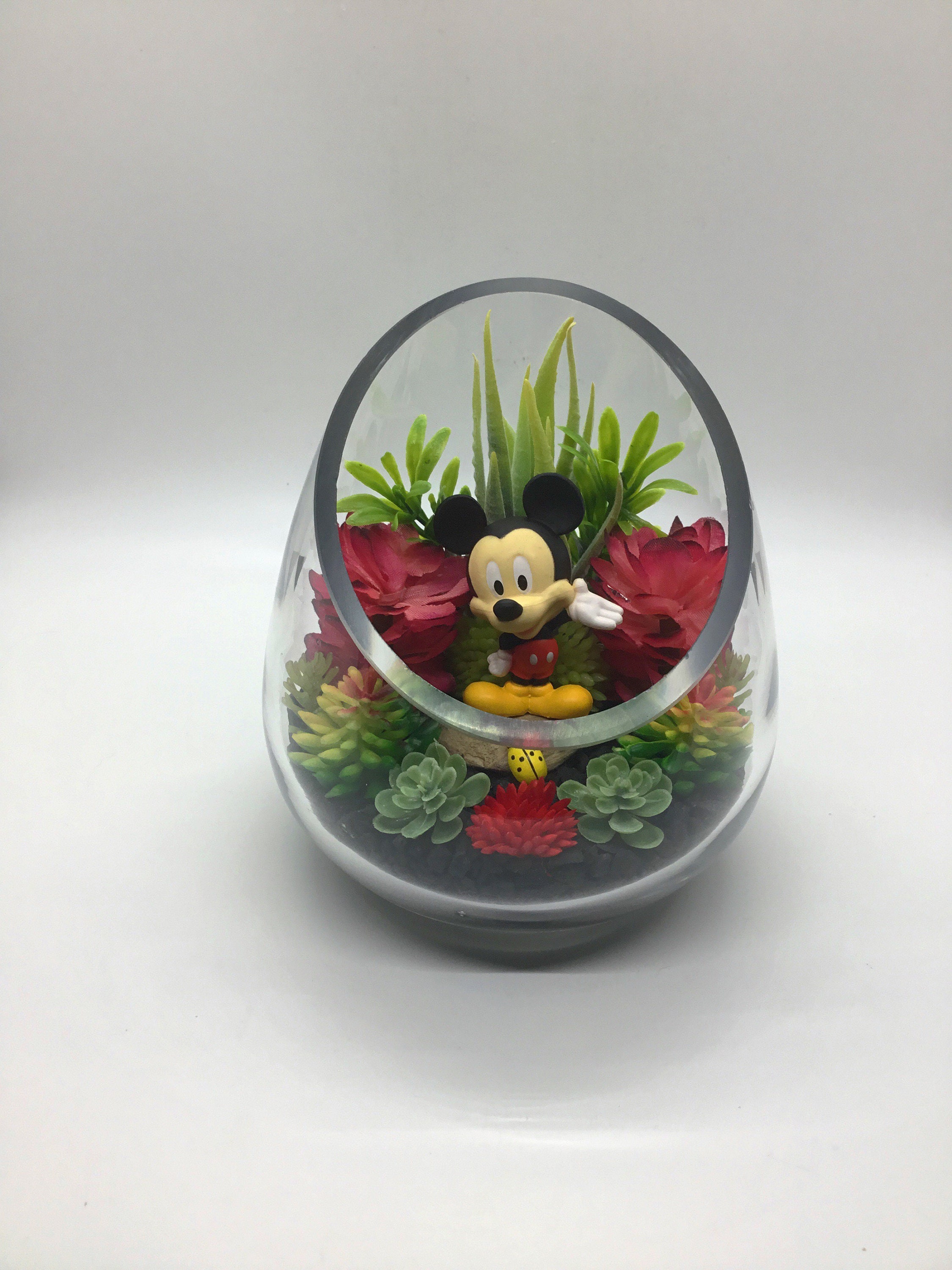 Mickey Mouse Terrarium Kit Small 5 Slant Cut Teardrop Glass Etsy