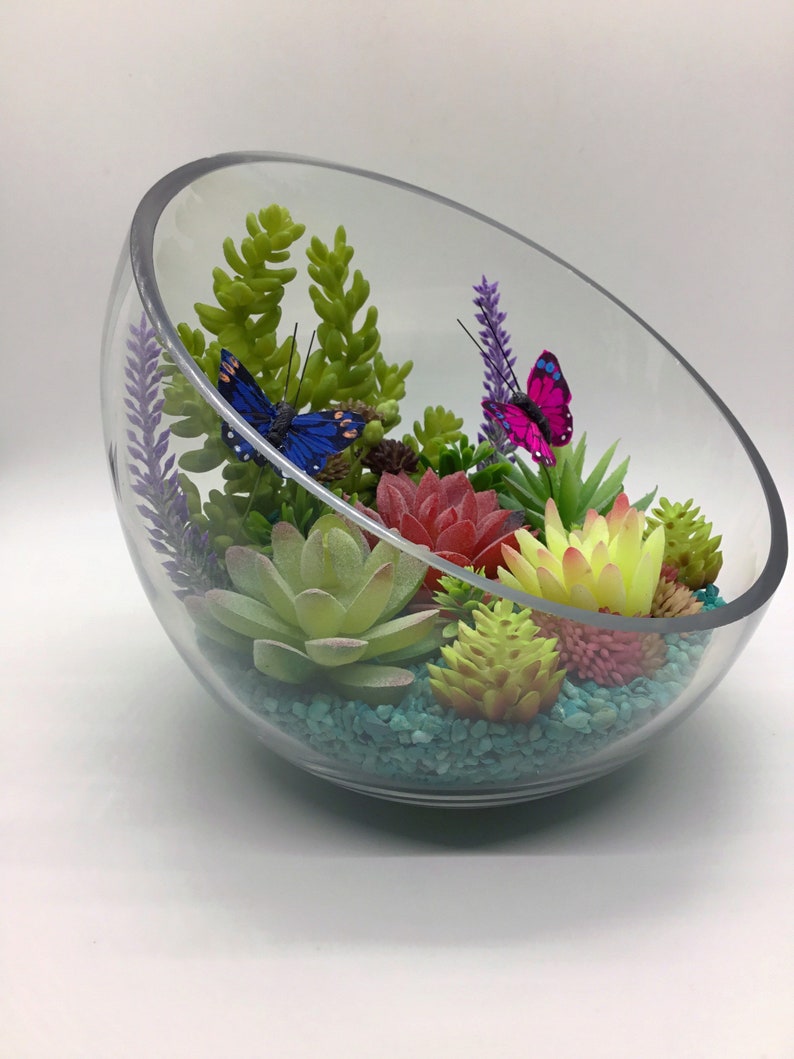 Butterfly Terrarium Artificial Succulent Terrarium Kit Etsy