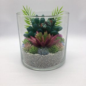 Schmetterling Terrarium Kit - Künstliches Sukkulenten Terrarium - 5 &quot;x15&quot; rundes Glas Terrarium - Sukkulenten Garten - Kit