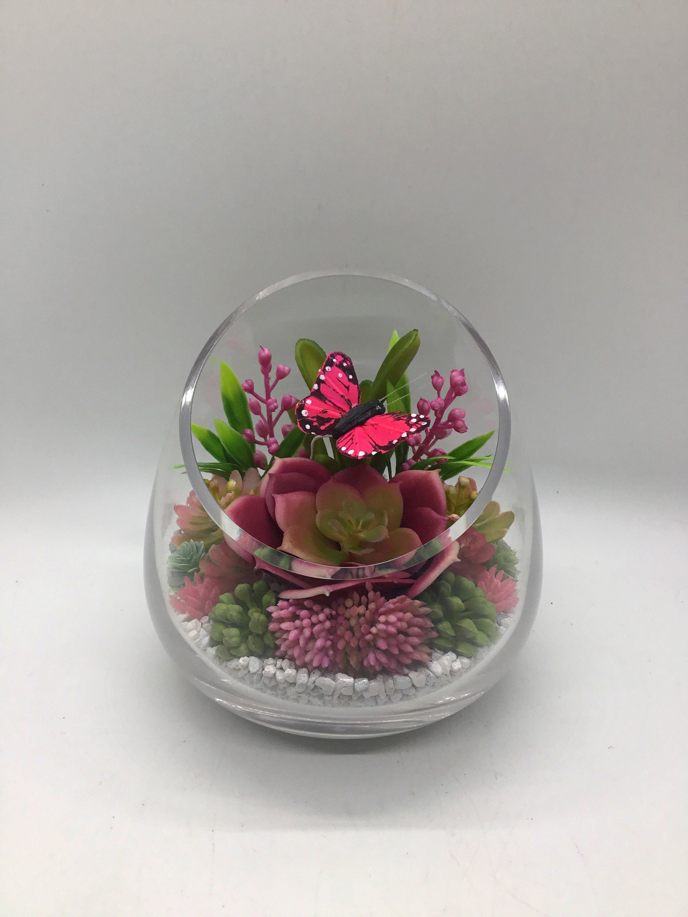Artificial Succulent Butterfly Terrarium Kit Small 5 Slant Etsy