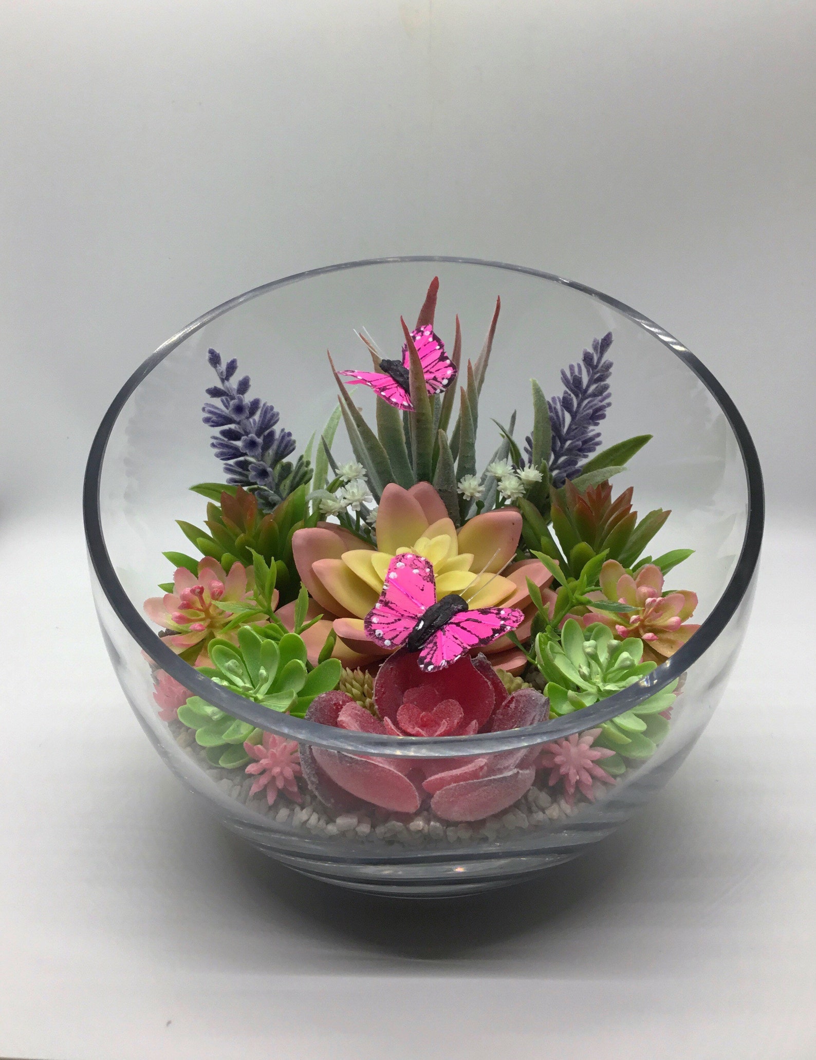 Butterfly Terrarium Artificial Succulent Terrarium Kit 7 Etsy