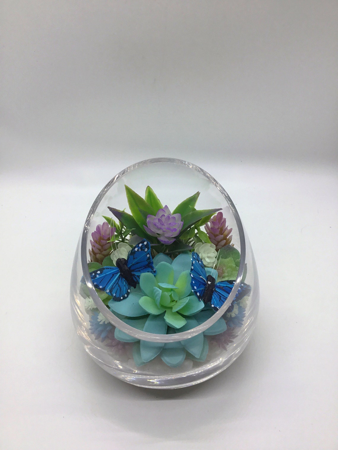 Kit de terrario de mariposa suculenta artificial Pequeño | Etsy