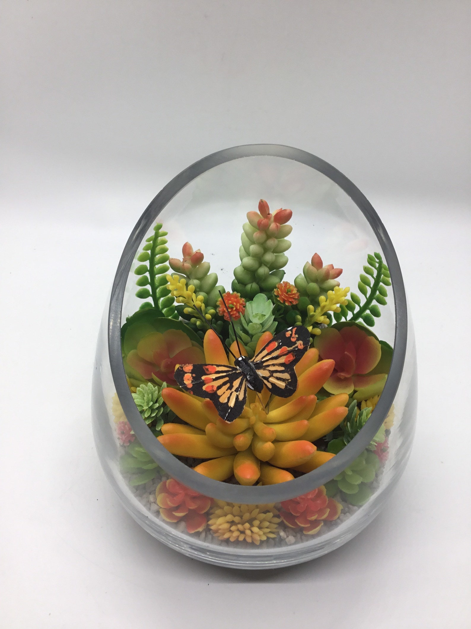 Artificial Succulent Butterfly Terrarium Kit Small 5 Slant Etsy