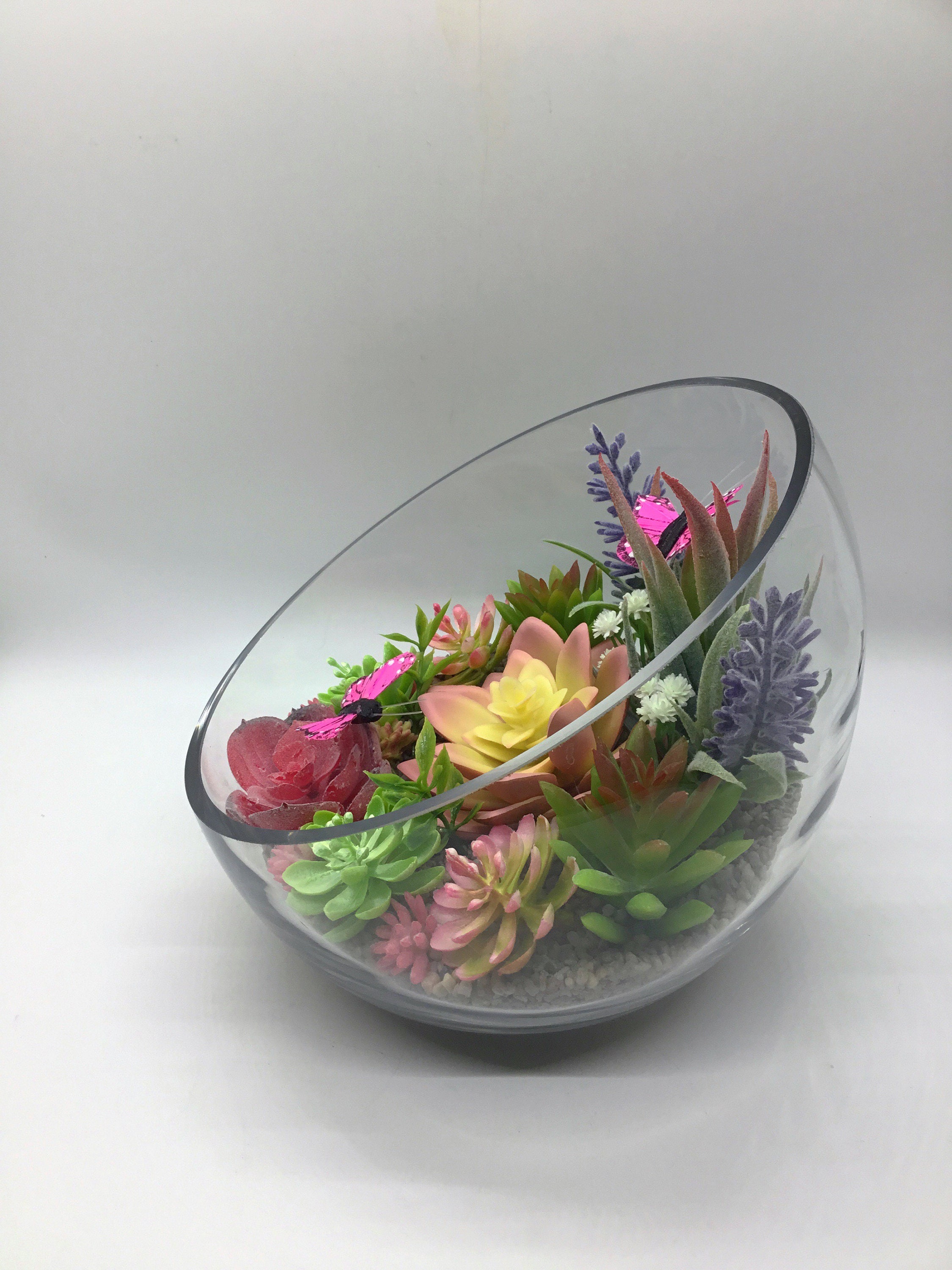 Butterfly Terrarium Artificial Succulent Terrarium Kit 7 Etsy