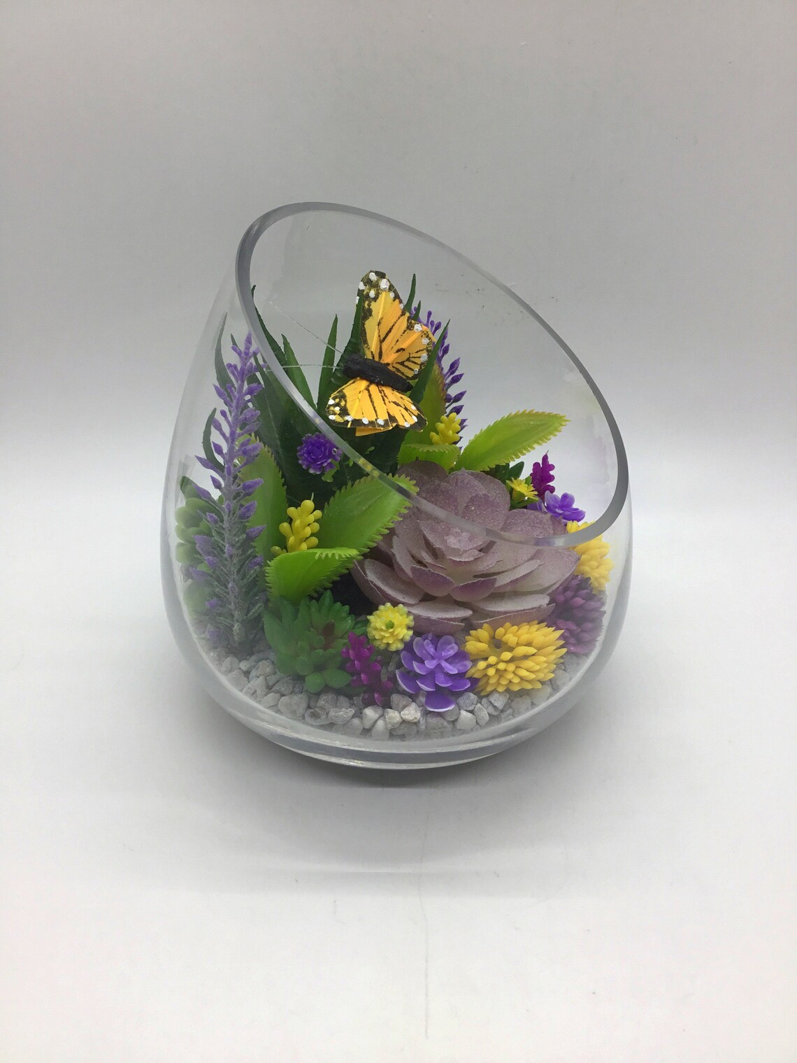 Butterfly Terrarium Kit Artificial Succulent Terrarium Etsy