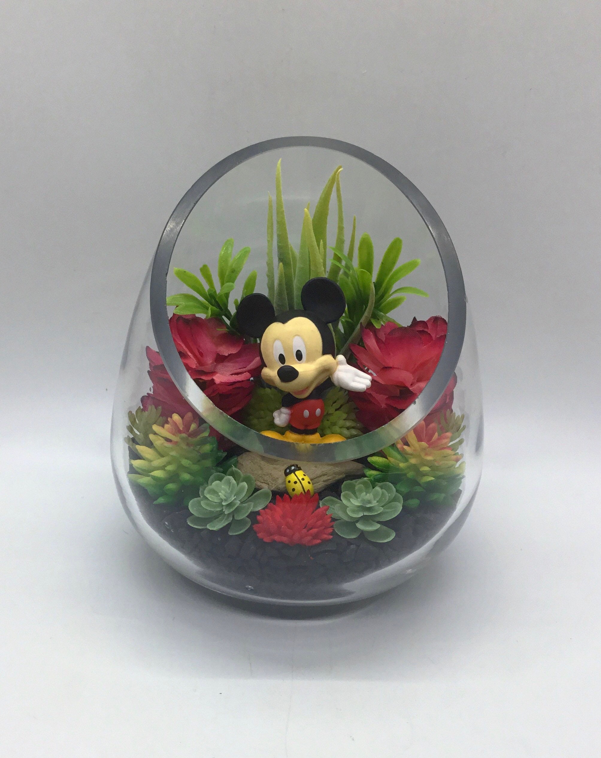 Mickey Mouse Terrarium Kit Small 5 Slant Cut Teardrop Glass Etsy