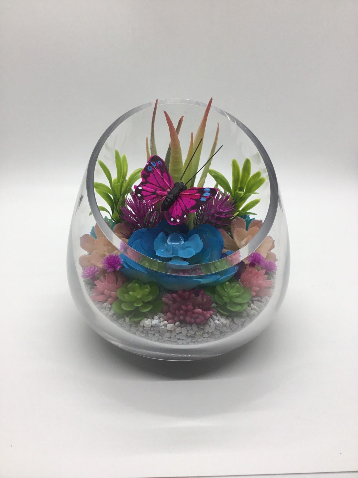 Butterfly Terrarium Kit Artificial Succulent Terrarium Etsy